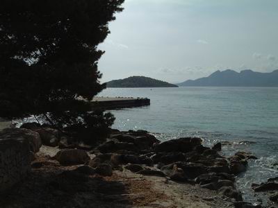 Mca074.JPG